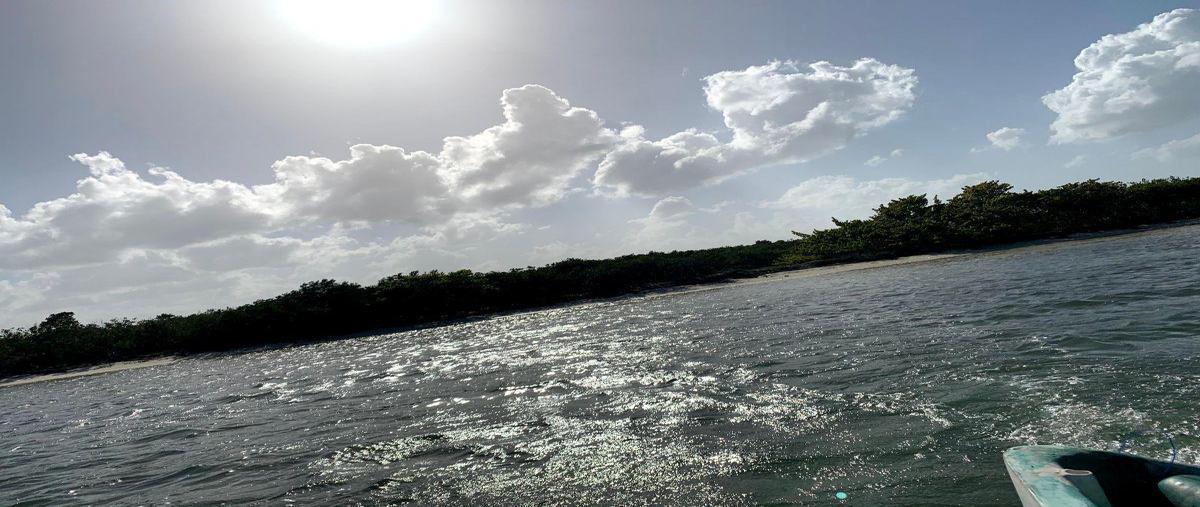 Foto de terreno habitacional en venta en  , isla mujeres, isla mujeres, quintana roo, 0 No. 03