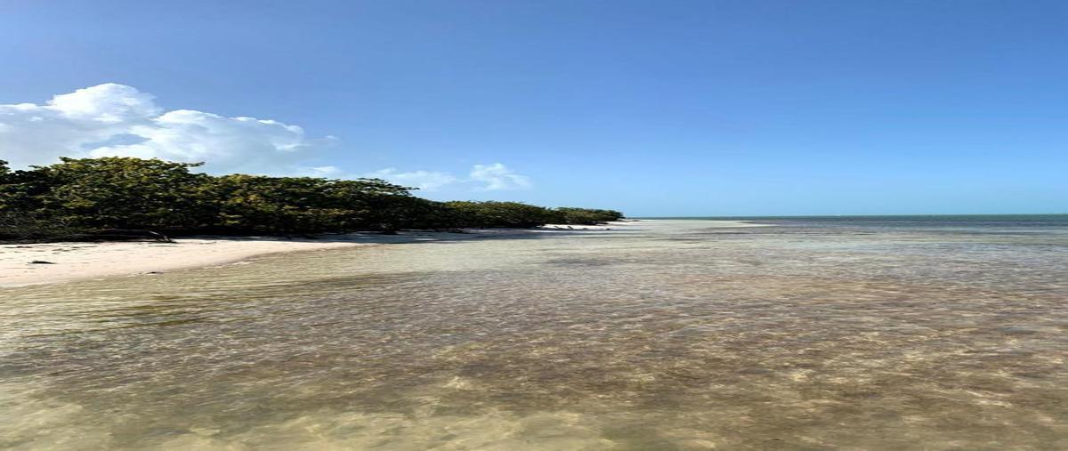 Foto de terreno habitacional en venta en  , isla mujeres, isla mujeres, quintana roo, 0 No. 04