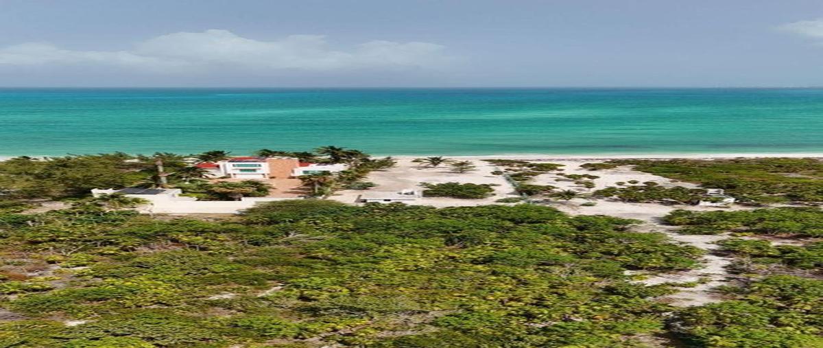 Foto de terreno habitacional en venta en  , isla mujeres, isla mujeres, quintana roo, 30889672 No. 05