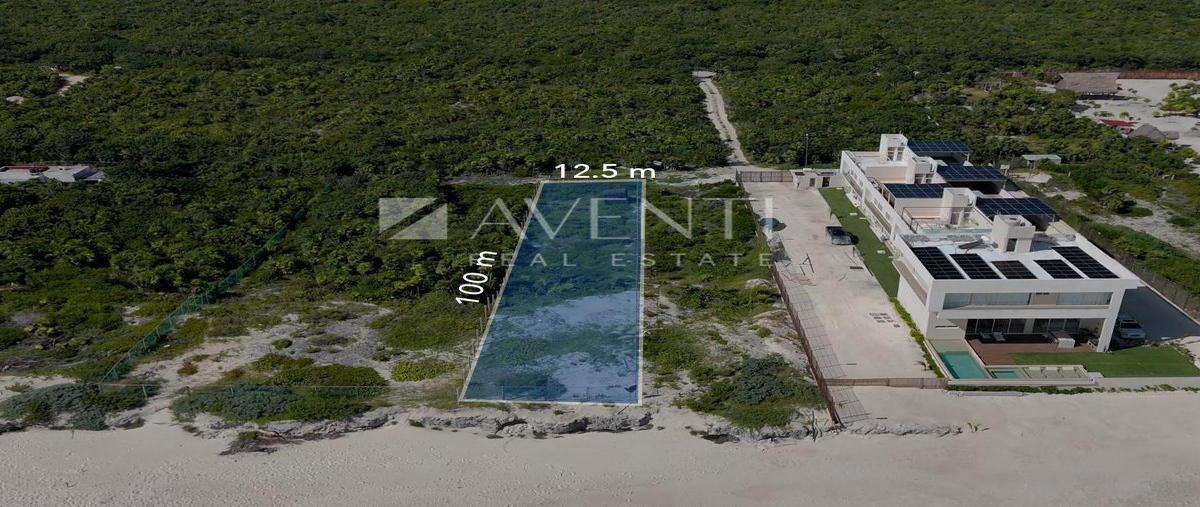Foto de terreno comercial en venta en  , isla mujeres, isla mujeres, quintana roo, 31559366 No. 04