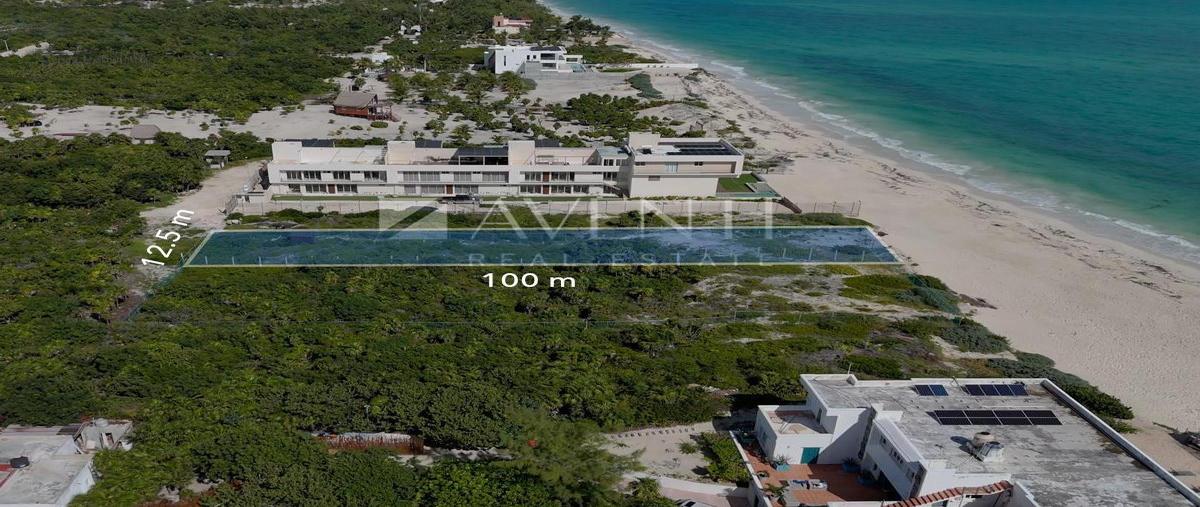 Foto de terreno comercial en venta en  , isla mujeres, isla mujeres, quintana roo, 31559366 No. 05