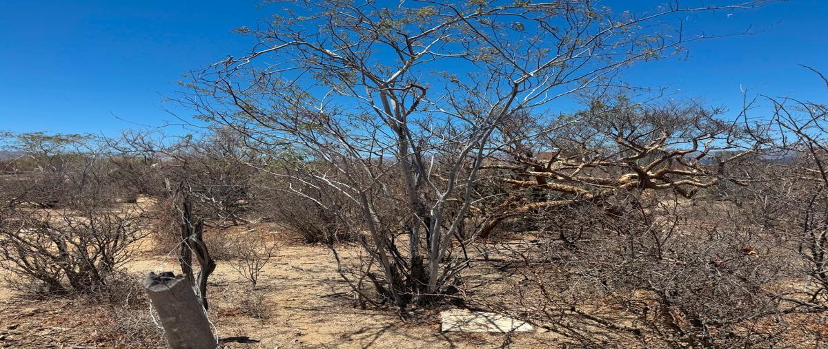 Foto de terreno habitacional en venta en isla patos , el sargento, la paz, baja california sur, 30358619 No. 02