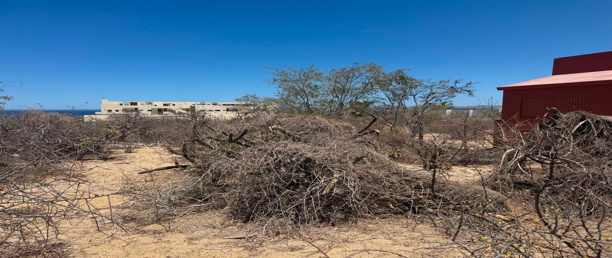 Foto de terreno habitacional en venta en isla patos , el sargento, la paz, baja california sur, 30358619 No. 03