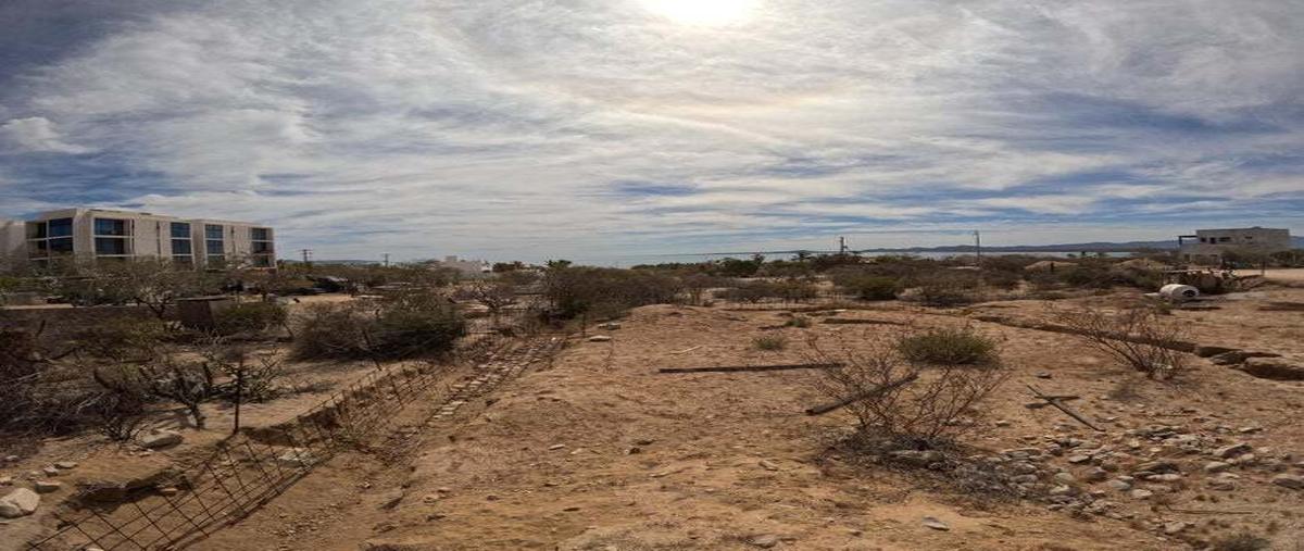 Foto de terreno habitacional en venta en isla patos , la ventana, la paz, baja california sur, 29908023 No. 03