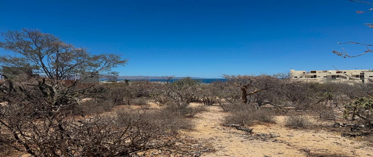 Foto de terreno habitacional en venta en isla patos y corredor cerralvo , el sargento, la paz, baja california sur, 0 No. 03