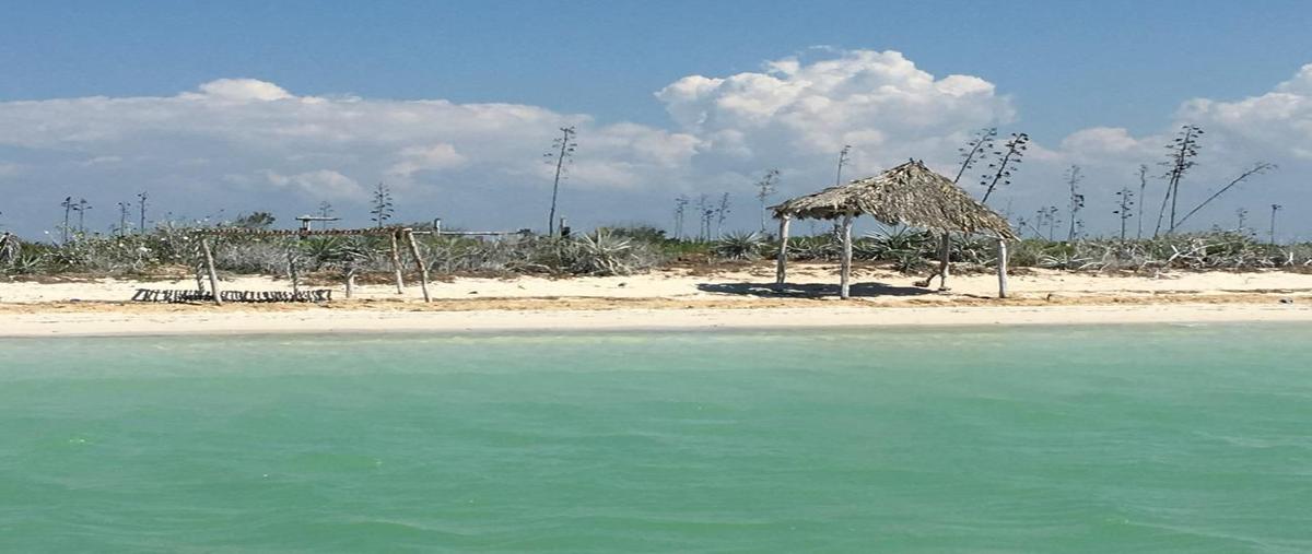 Foto de terreno habitacional en venta en isla , rio lagartos, río lagartos, yucatán, 25599951 No. 03