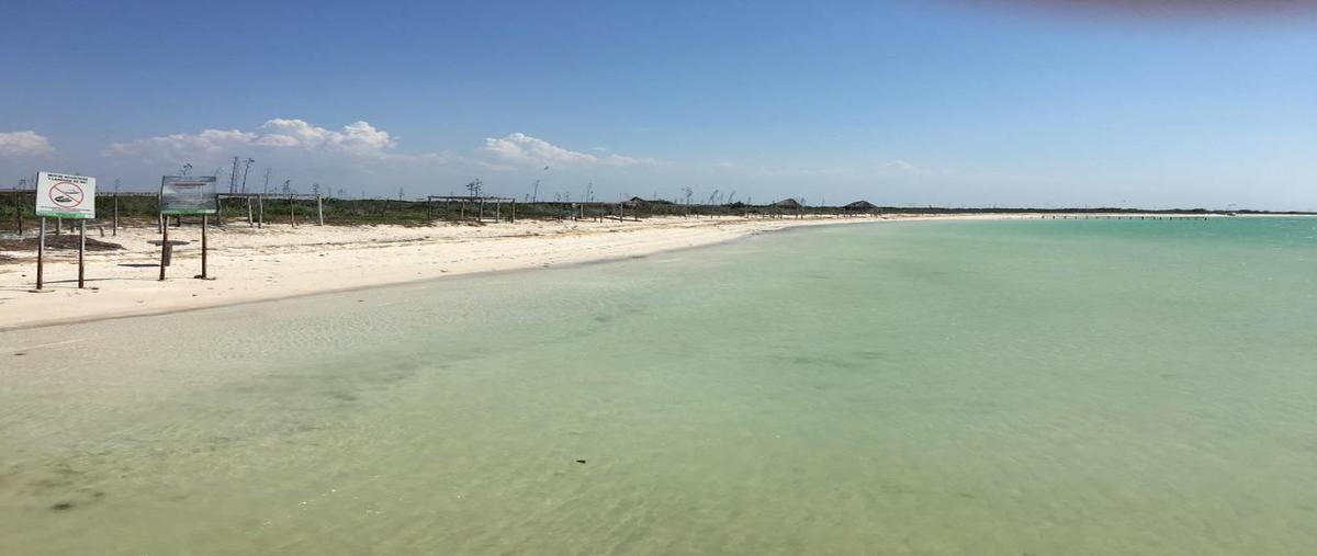 Foto de terreno habitacional en venta en isla , rio lagartos, río lagartos, yucatán, 25599951 No. 05