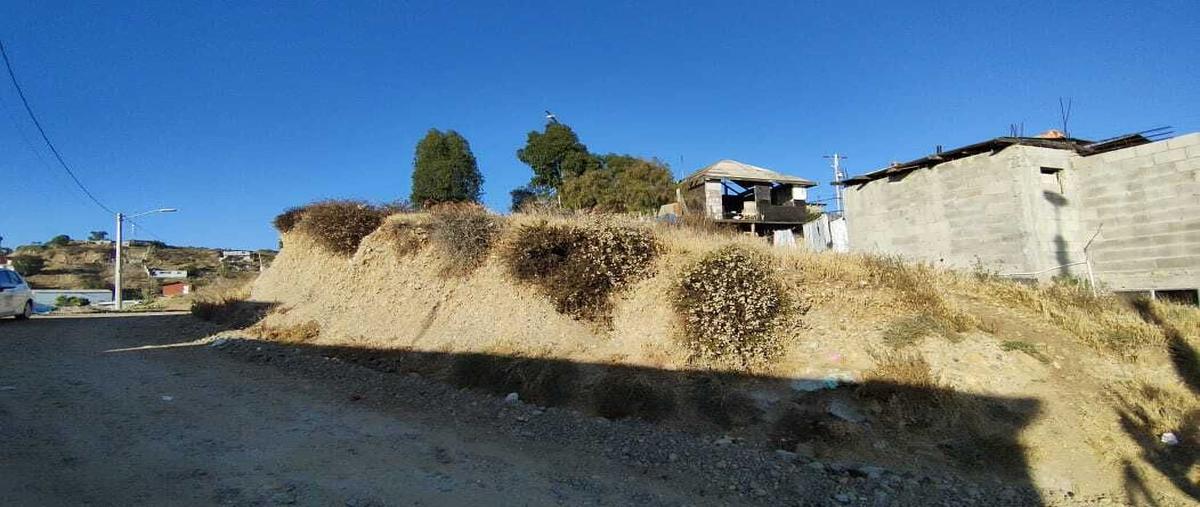 Foto de terreno habitacional en venta en isla santa maría , lomas del sauzal, ensenada, baja california, 27674008 No. 03