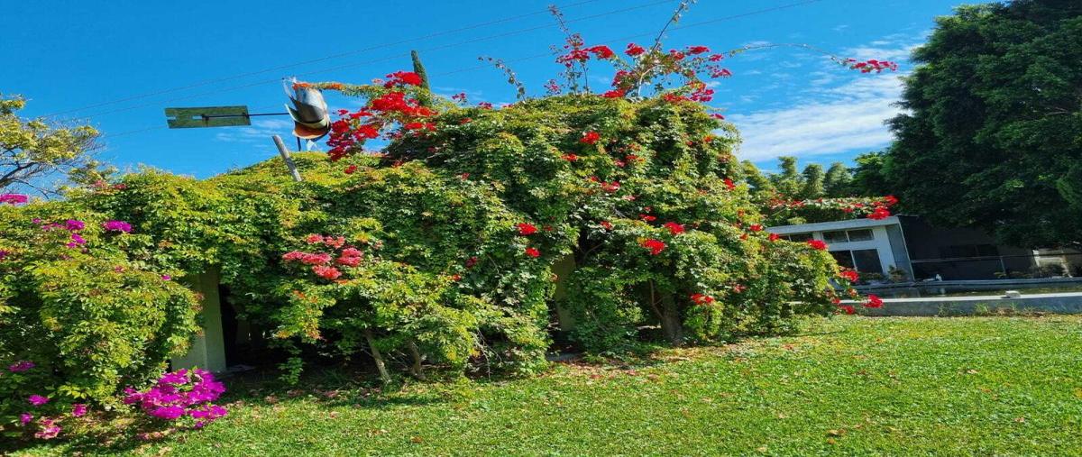 Foto de rancho en venta en isla verde 101, san josé las bocas, izúcar de matamoros, puebla, 0 No. 03