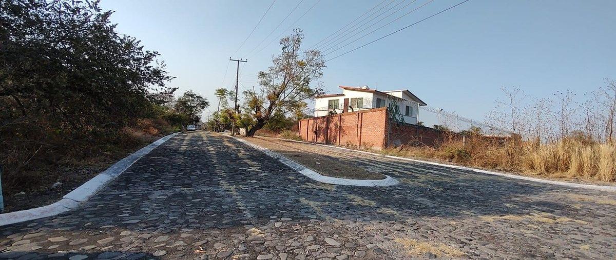 Foto de terreno habitacional en venta en  , islas de cuautla, ayala, morelos, 30824077 No. 05