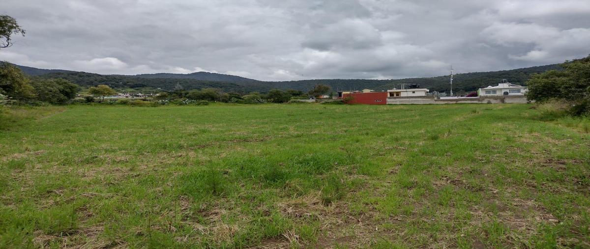 Foto de terreno comercial en venta en iturbide , acambay centro, acambay de ruíz castañeda, méxico, 22558467 No. 04