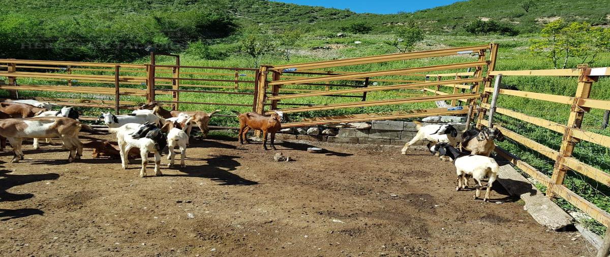 Foto de terreno habitacional en , iturbide, iturbide, nuevo león, 12513944 foto 02 Foto de terreno habitacional en venta en , iturbide, iturbide, nuevo león, 12513944 No. 02
