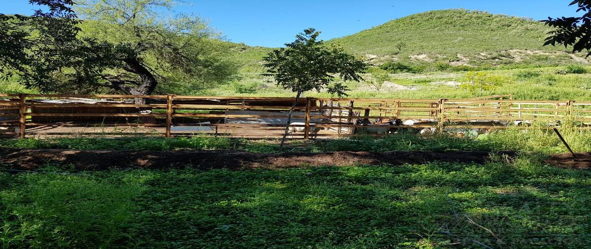 Foto de terreno habitacional en , iturbide, iturbide, nuevo león, 12513944 foto 04 Foto de terreno habitacional en venta en , iturbide, iturbide, nuevo león, 12513944 No. 04