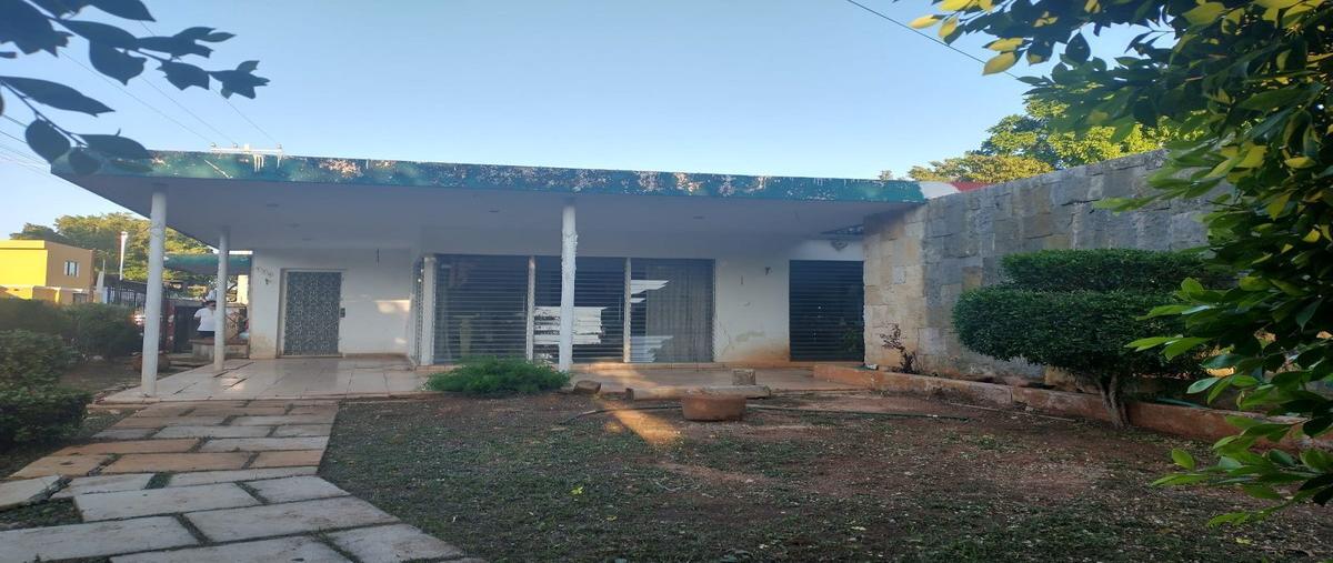 Foto de casa en venta en  , itzaes, mérida, yucatán, 26556311 No. 03