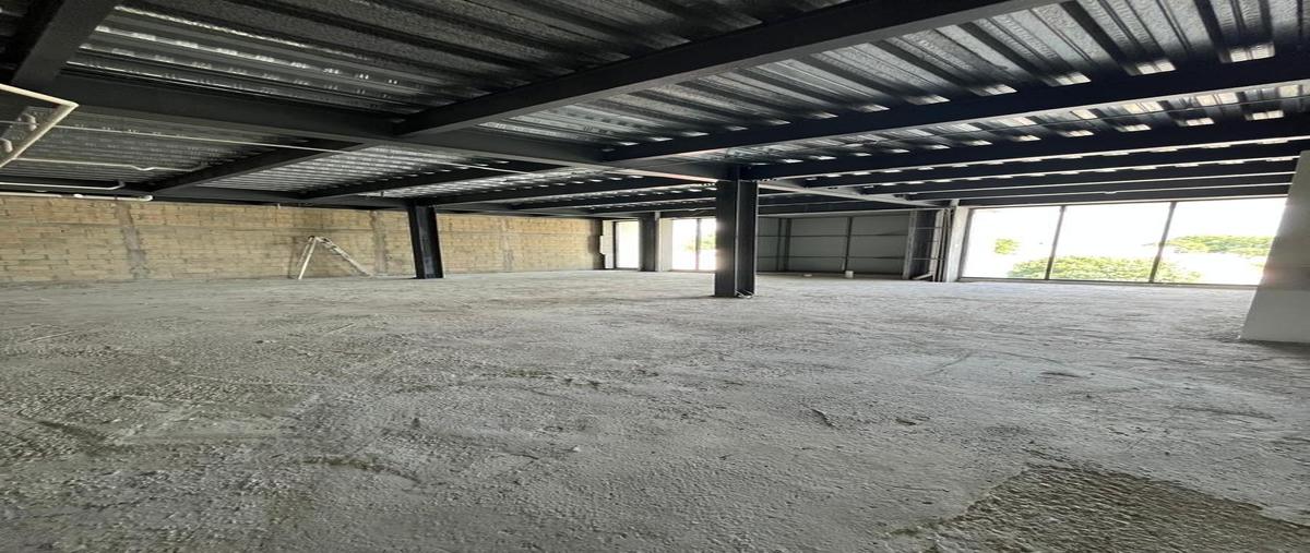 Foto de local en renta en  , itzimna, mérida, yucatán, 30895325 No. 04