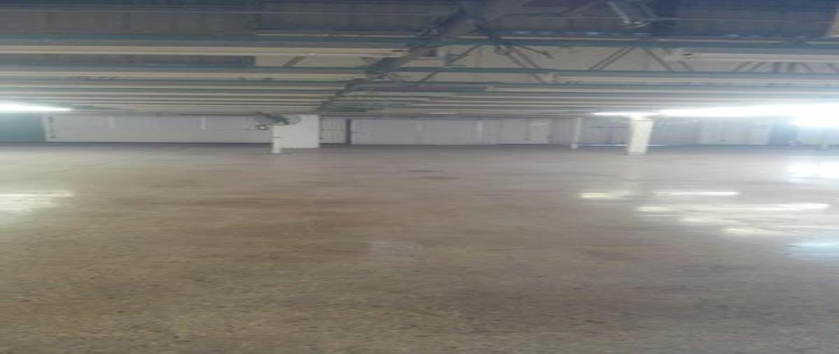 Foto de nave industrial en renta en  , itzimna, mérida, yucatán, 7861005 No. 03
