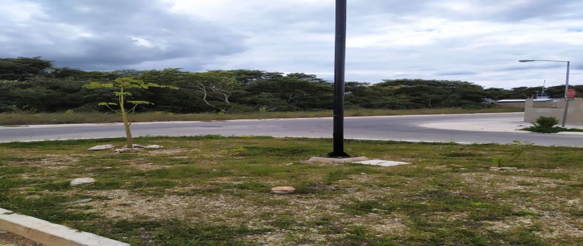 Foto de terreno habitacional en venta en  , itzincab, umán, yucatán, 11014347 No. 01