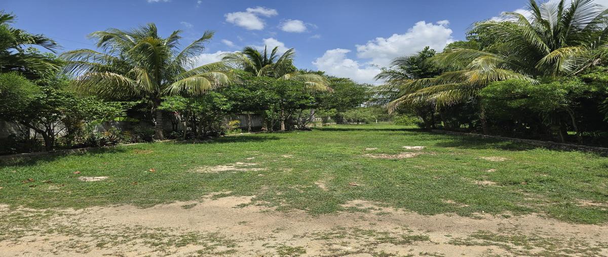 Foto de casa en venta en  , itzincab, umán, yucatán, 0 No. 05
