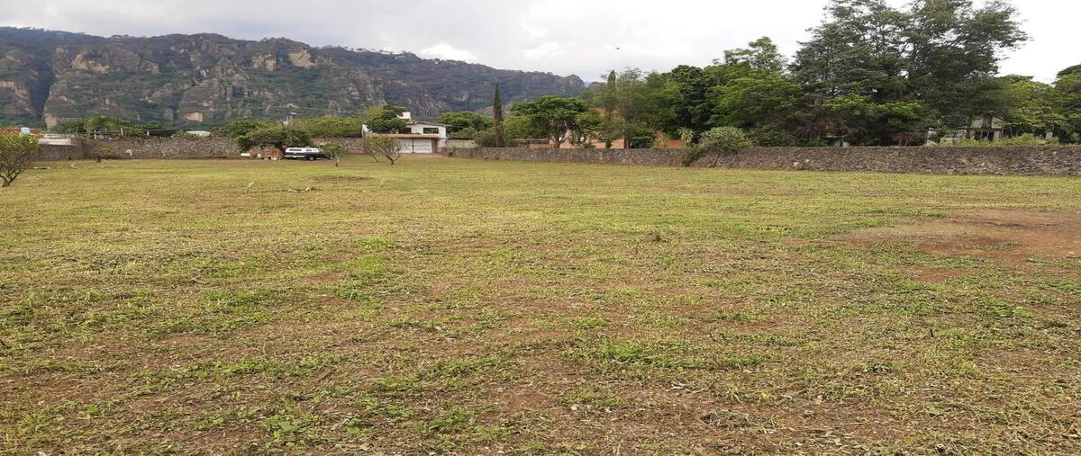 Foto de terreno habitacional en venta en  , ixcatepec, tepoztlán, morelos, 0 No. 05