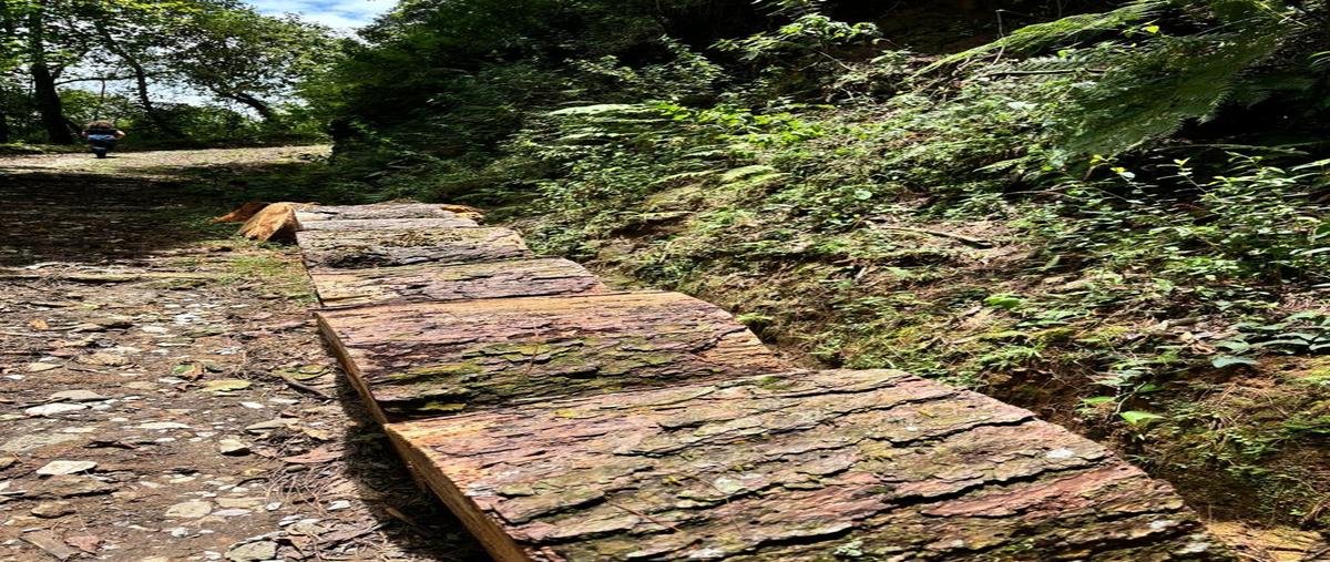 Foto de rancho en venta en  , ixhuacan de los reyes, ixhuacán de los reyes, veracruz de ignacio de la llave, 28330529 No. 04