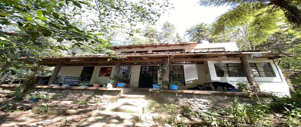 Foto de casa en , ixhuacan de los reyes, ixhuacán de los reyes, veracruz de ignacio de la llave, 30841147 foto 01 Foto de casa en venta en , ixhuacan de los reyes, ixhuacán de los reyes, veracruz de ignacio de la llave, 30841147 No. 01