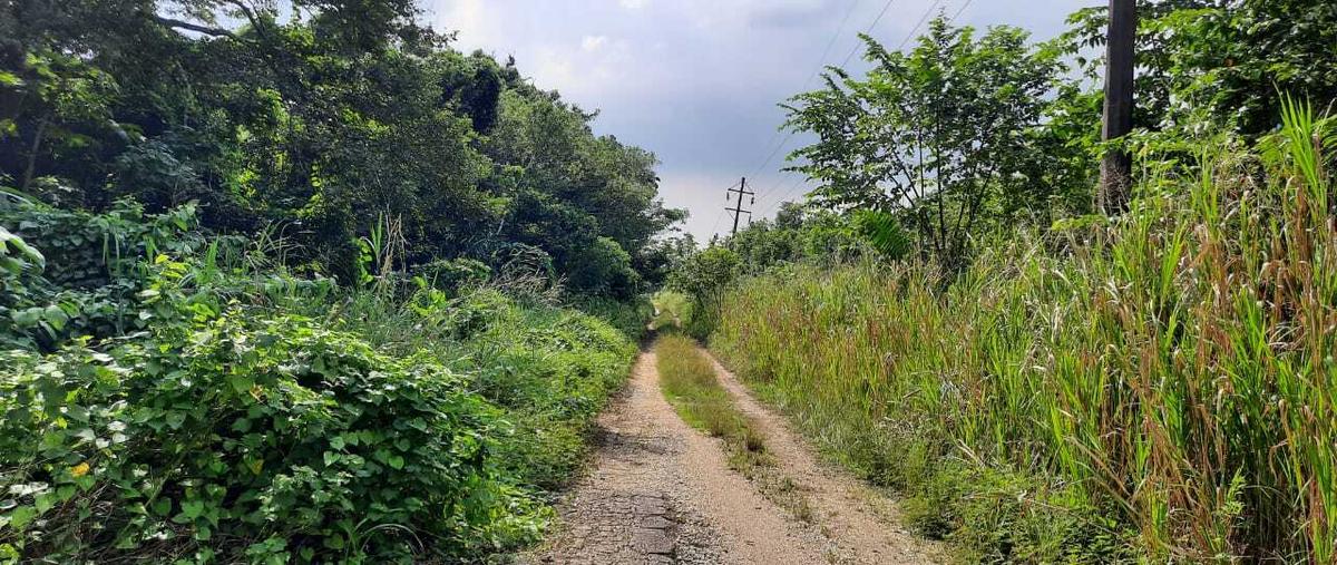 Foto de terreno habitacional en venta en  , ixhuatlan del sureste, ixhuatlán del sureste, veracruz de ignacio de la llave, 17621185 No. 03