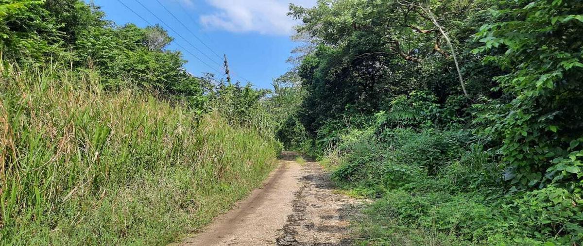 Foto de terreno habitacional en venta en  , ixhuatlan del sureste, ixhuatlán del sureste, veracruz de ignacio de la llave, 17621185 No. 04