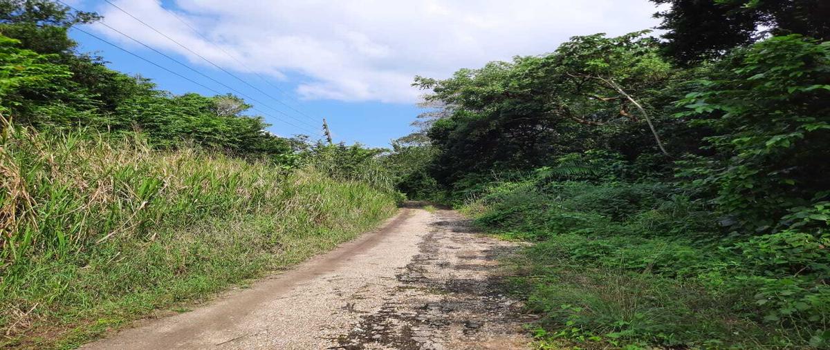Foto de terreno habitacional en venta en  , ixhuatlan del sureste, ixhuatlán del sureste, veracruz de ignacio de la llave, 17621185 No. 05