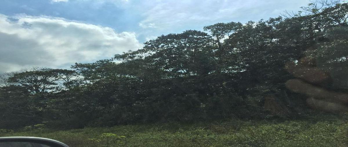 Foto de terreno habitacional en venta en  , ixhuatlan del sureste, ixhuatlán del sureste, veracruz de ignacio de la llave, 25512170 No. 03