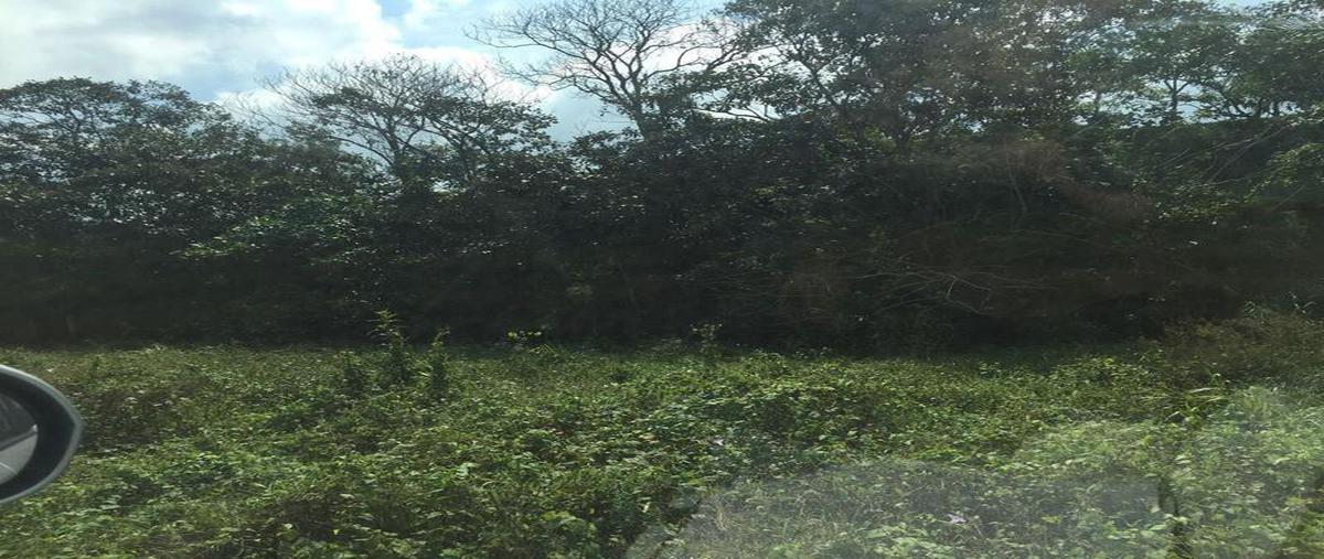 Foto de terreno habitacional en venta en  , ixhuatlan del sureste, ixhuatlán del sureste, veracruz de ignacio de la llave, 25512170 No. 04