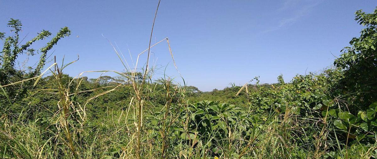 Foto de terreno habitacional en , ixhuatlan del sureste, ixhuatlán del sureste, veracruz de ignacio de la llave, 0 foto 05 Foto de terreno habitacional en venta en , ixhuatlan del sureste, ixhuatlán del sureste, veracruz de ignacio de la llave, 0 No. 05