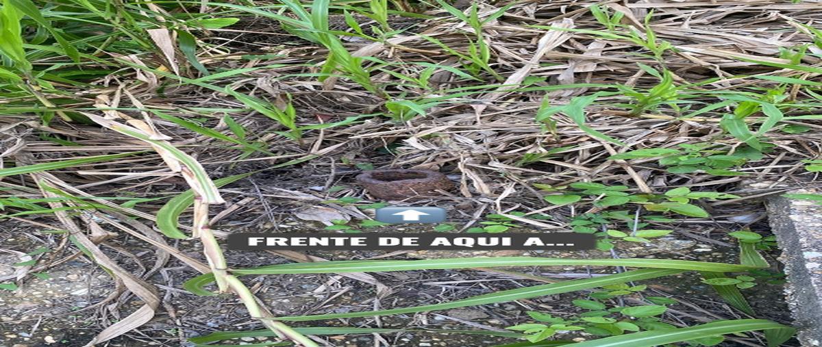 Foto de terreno habitacional en venta en  , ixhuatlan del sureste, ixhuatlán del sureste, veracruz de ignacio de la llave, 28462721 No. 03