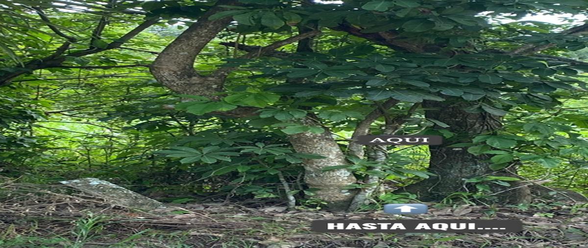 Foto de terreno habitacional en venta en  , ixhuatlan del sureste, ixhuatlán del sureste, veracruz de ignacio de la llave, 28462721 No. 04