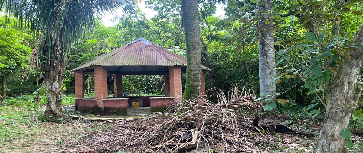 Foto de terreno habitacional en venta en  , ixhuatlan del sureste, ixhuatlán del sureste, veracruz de ignacio de la llave, 28462721 No. 05