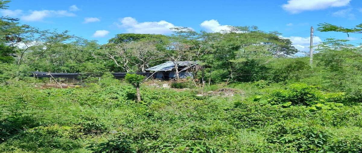 Foto de terreno habitacional en , ixil, ixil, yucatán, 24840669 foto 04 Foto de terreno habitacional en venta en , ixil, ixil, yucatán, 24840669 No. 04