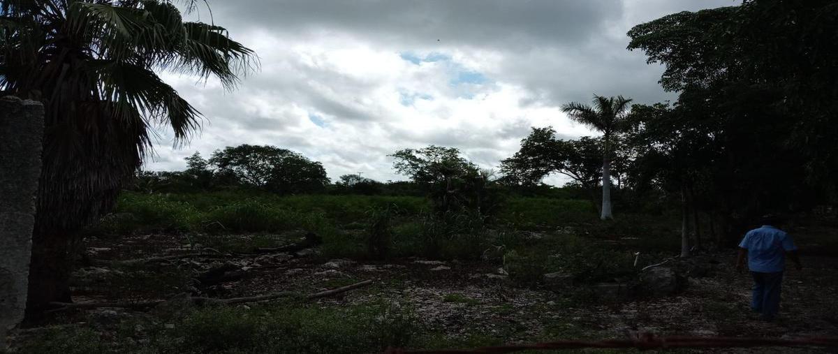 Foto de terreno habitacional en , ixil, ixil, yucatán, 0 foto 02 Foto de terreno habitacional en venta en , ixil, ixil, yucatán, 0 No. 02
