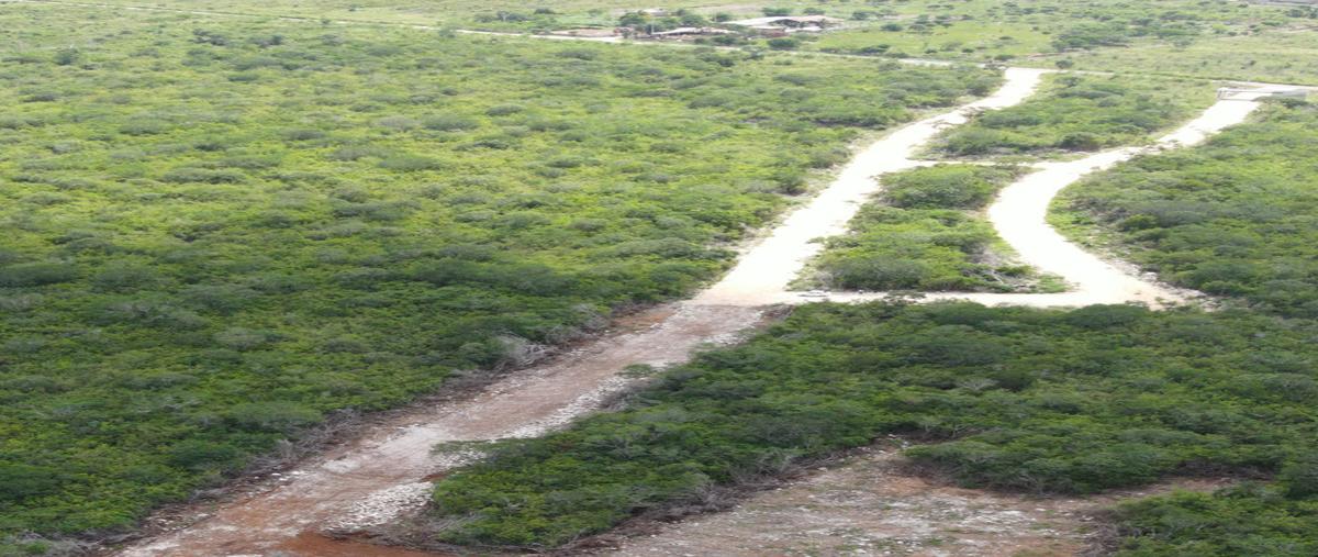 Foto de terreno habitacional en venta en  , ixil, ixil, yucatán, 0 No. 05