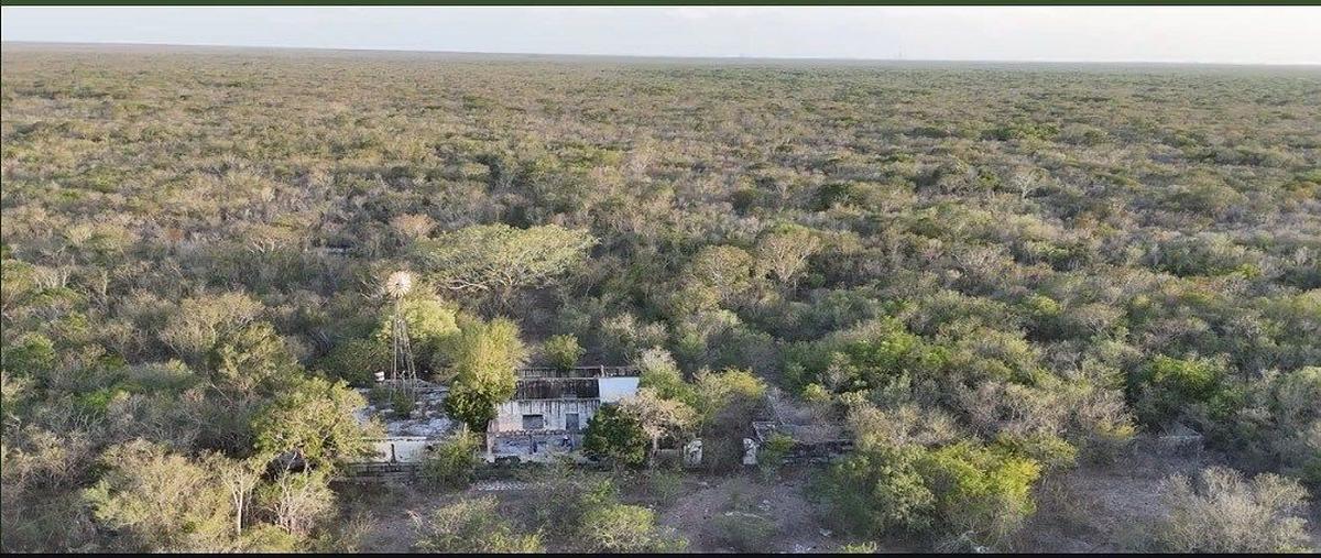 Foto de terreno habitacional en , ixil, ixil, yucatán, 30899108 foto 02 Foto de terreno habitacional en venta en , ixil, ixil, yucatán, 30899108 No. 02