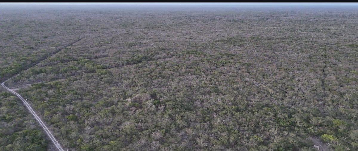 Foto de terreno habitacional en , ixil, ixil, yucatán, 0 foto 03 Foto de terreno habitacional en venta en , ixil, ixil, yucatán, 0 No. 03