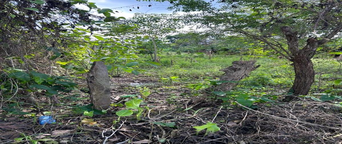 Foto de terreno habitacional en venta en ixtacomitan , ixtacomitan 5a sección, centro, tabasco, 0 No. 03
