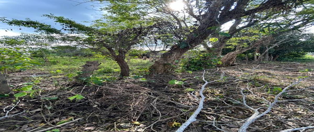 Foto de terreno habitacional en venta en ixtacomitan , ixtacomitan 5a sección, centro, tabasco, 0 No. 05