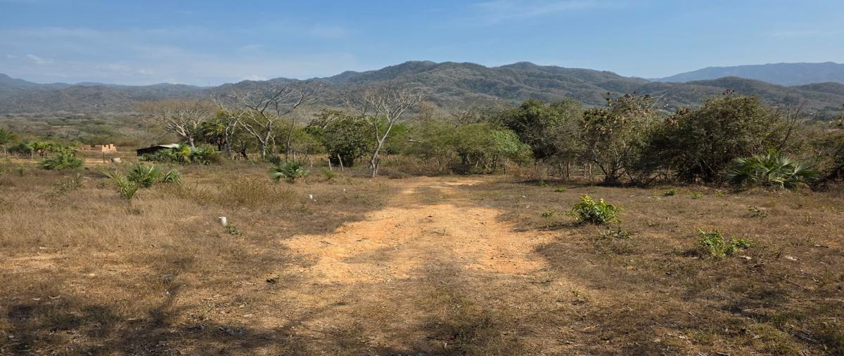Foto de terreno habitacional en venta en  , ixtapa, puerto vallarta, jalisco, 0 No. 04