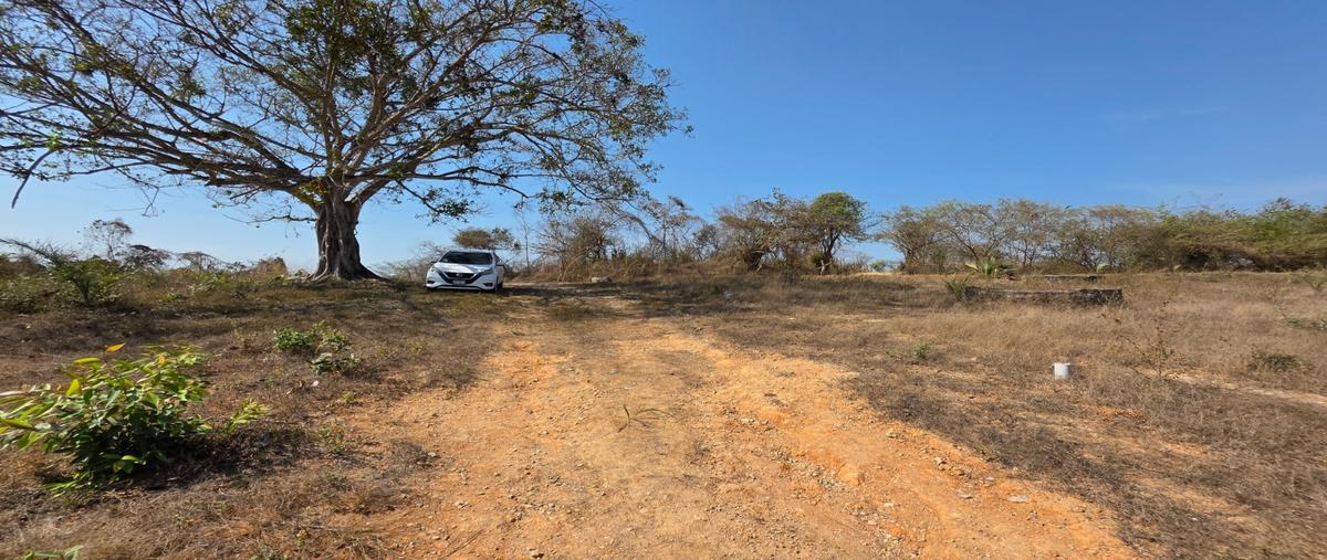 Foto de terreno habitacional en venta en  , ixtapa, puerto vallarta, jalisco, 0 No. 05