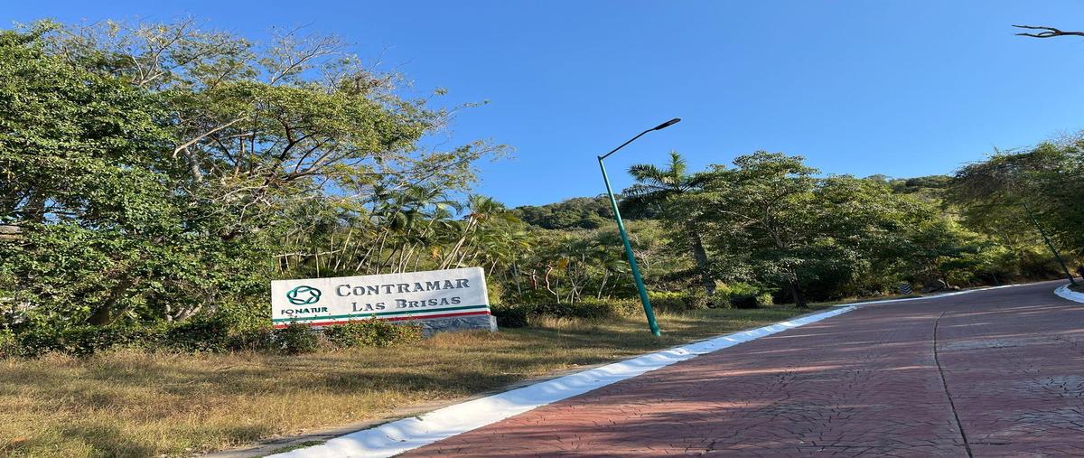 Foto de terreno habitacional en , ixtapa, zihuatanejo de azueta, guerrero, 0 foto 04 Foto de terreno habitacional en venta en , ixtapa, zihuatanejo de azueta, guerrero, 0 No. 04