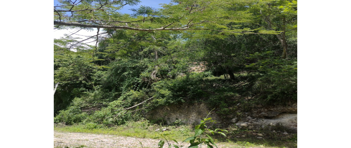 Foto de terreno habitacional en venta en  , ixtapan de la sal, ixtapan de la sal, méxico, 26557126 No. 03