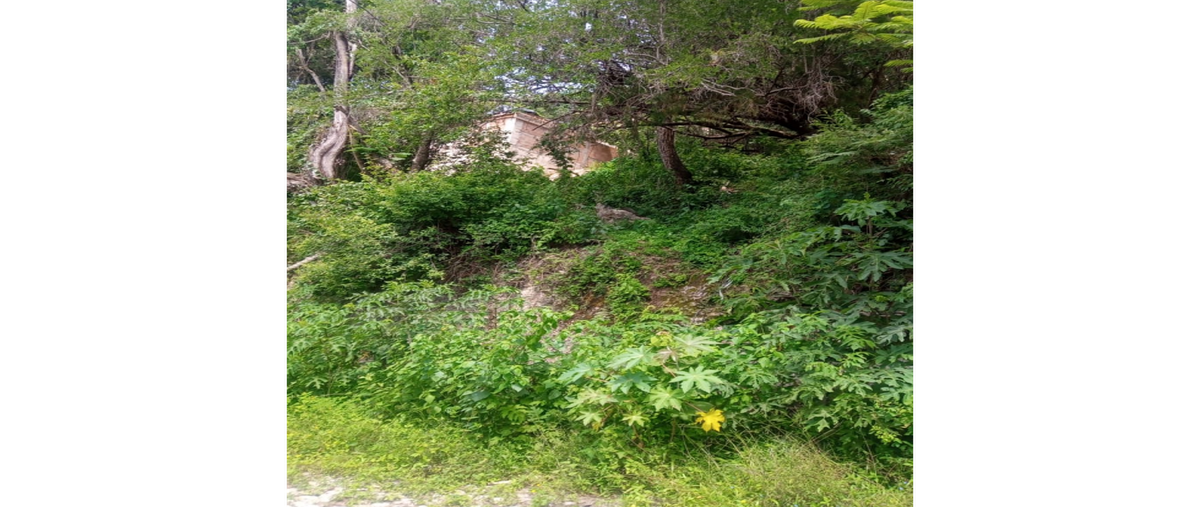 Foto de terreno habitacional en venta en  , ixtapan de la sal, ixtapan de la sal, méxico, 26557126 No. 05