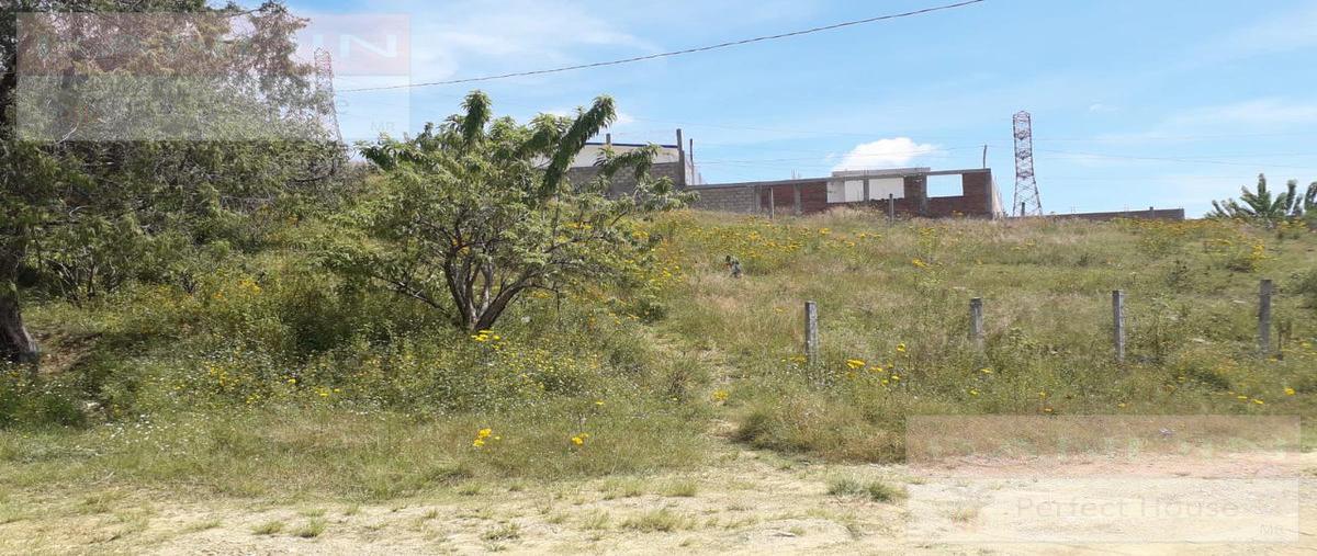 Foto de terreno habitacional en venta en  , ixtapan de la sal, ixtapan de la sal, méxico, 0 No. 04