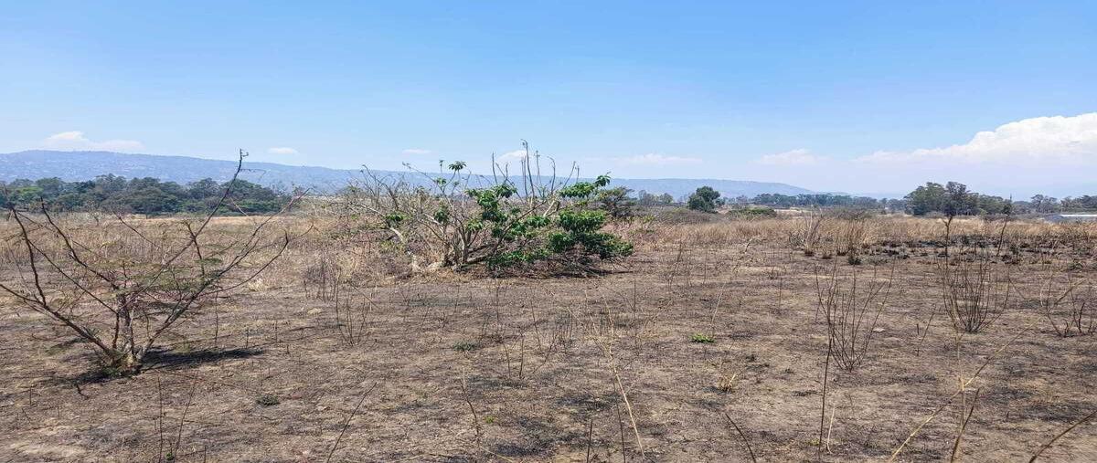 Foto de terreno habitacional en venta en  , ixtapan de la sal, ixtapan de la sal, méxico, 0 No. 03