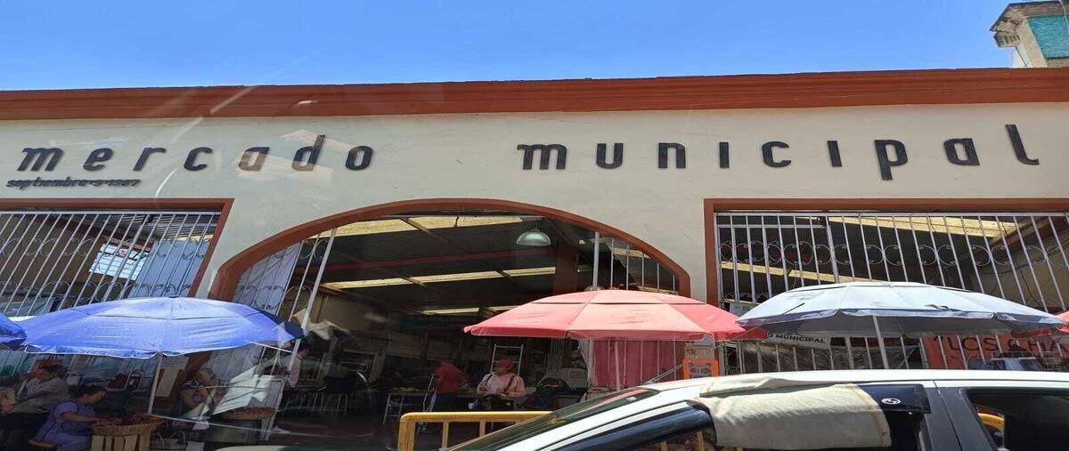 Foto de terreno habitacional en venta en  , ixtapan de la sal, ixtapan de la sal, méxico, 0 No. 04