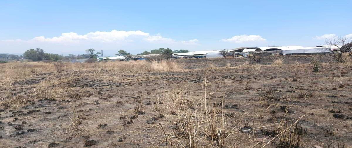 Foto de terreno habitacional en venta en  , ixtapan de la sal, ixtapan de la sal, méxico, 0 No. 05